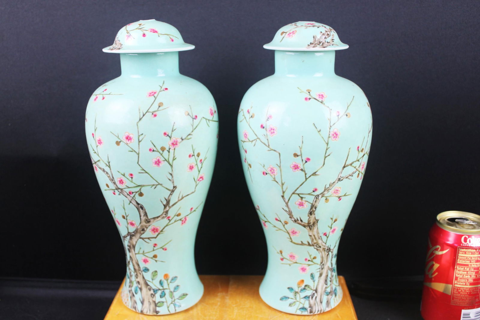 Pair of Chinese Turquoise-Glazed Porcelain Plum Blossom Vases, 20th Century (1 of 9)