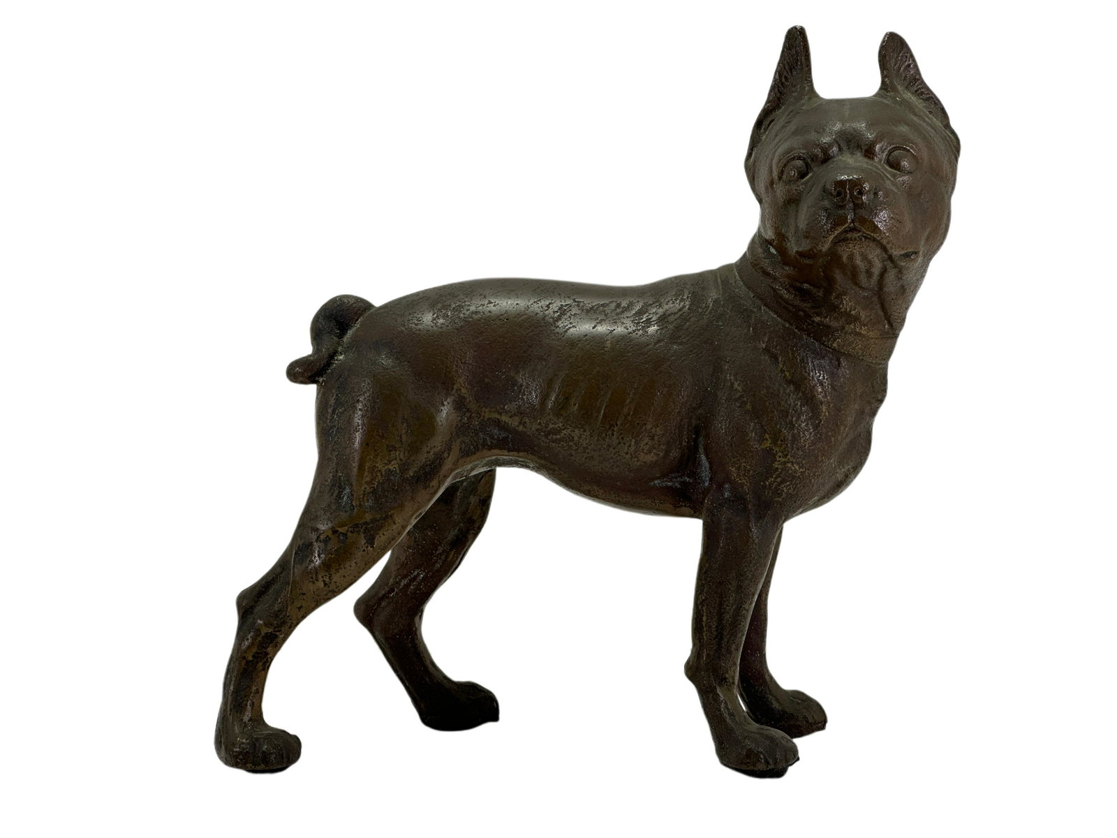 Sculpture Céramique Boston Terrier Grandeur Nature – Three Star – Fabriquée En Italie
