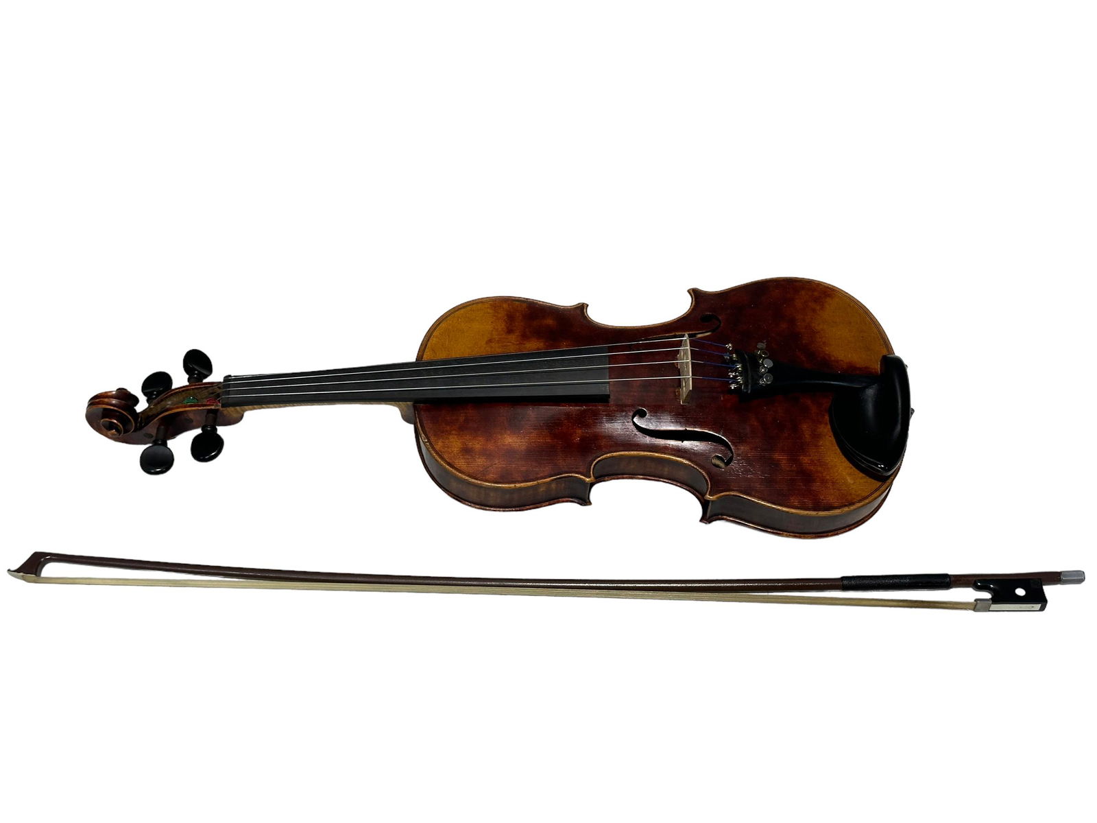Nicola amati 2024