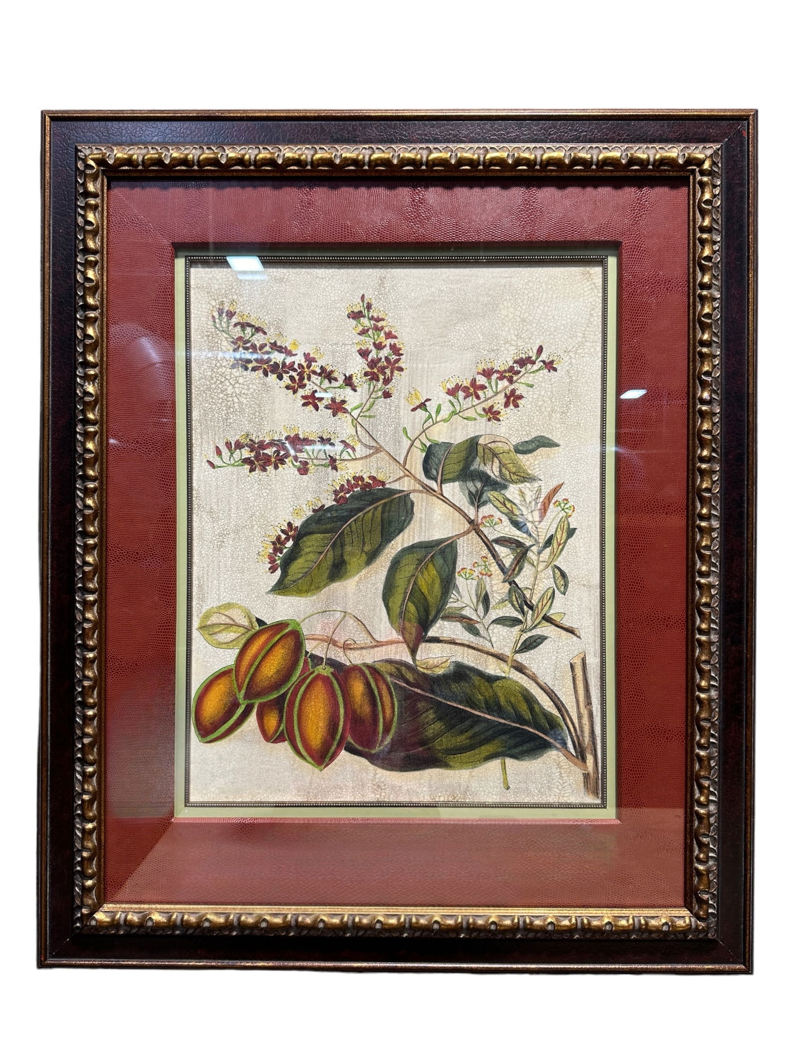 Framed John Richard "Foliage, Flowers & Fruit III" (1 of 4)