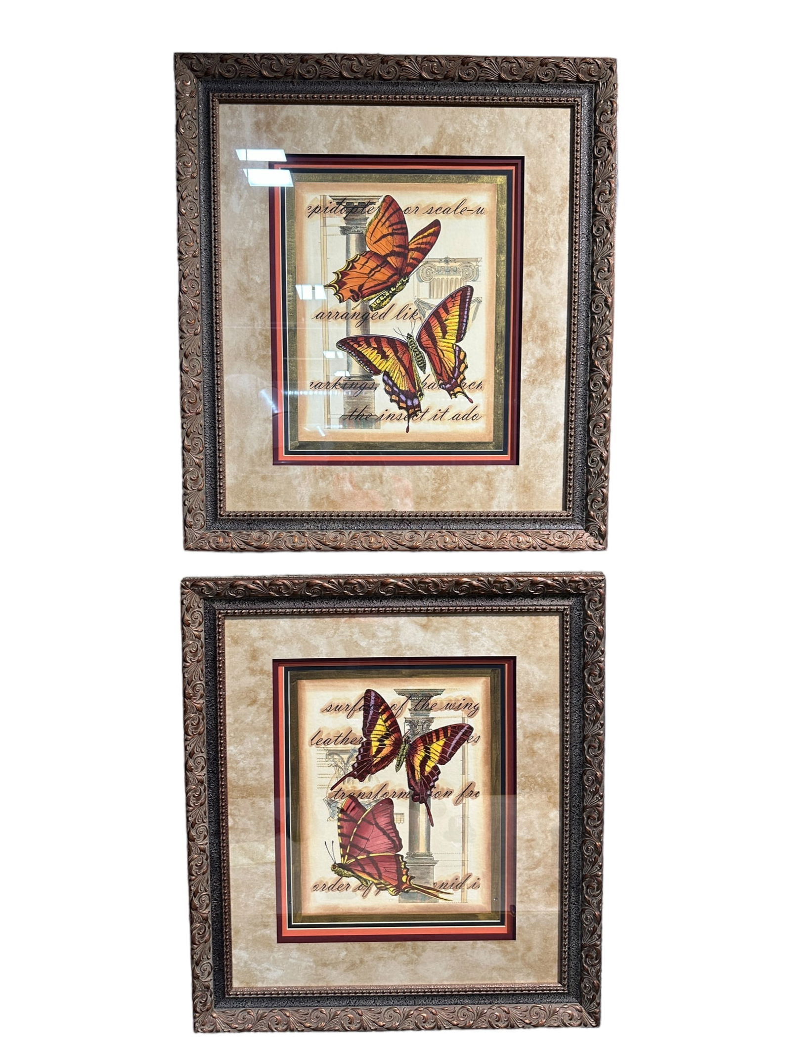 Pair of Framed Butterfly Art Pieces (1 of 4)