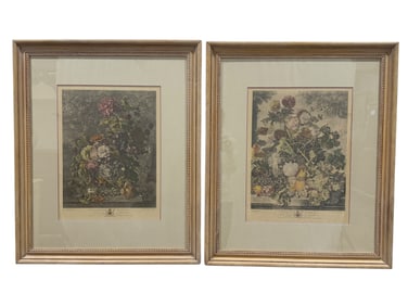 Pair of Framed Prints by Jan Von Huysum