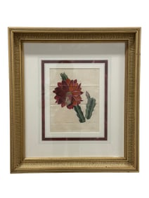 Framed "Red Cactus" Print
