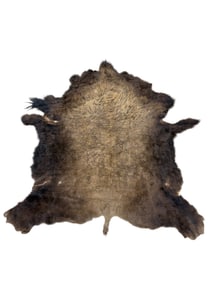 Buffalo Hide Rug