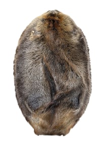 Beaver Hide