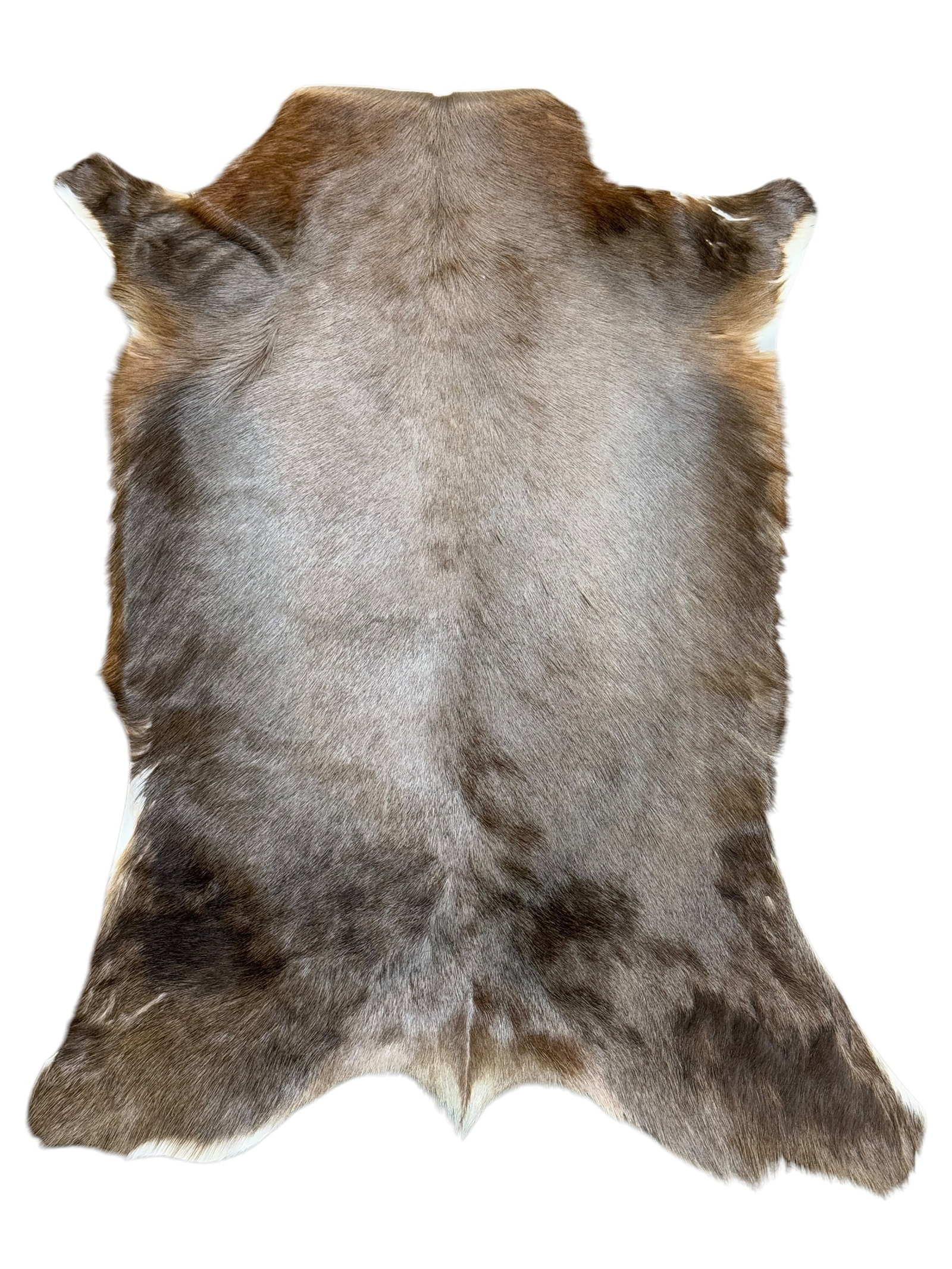 Animal Hide: Animal Hide. Measures 38" x 27.5".
