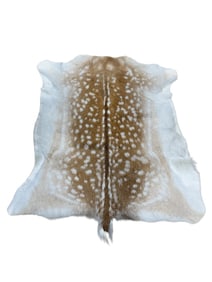 Deer Hide