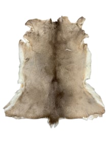 Deer Hide