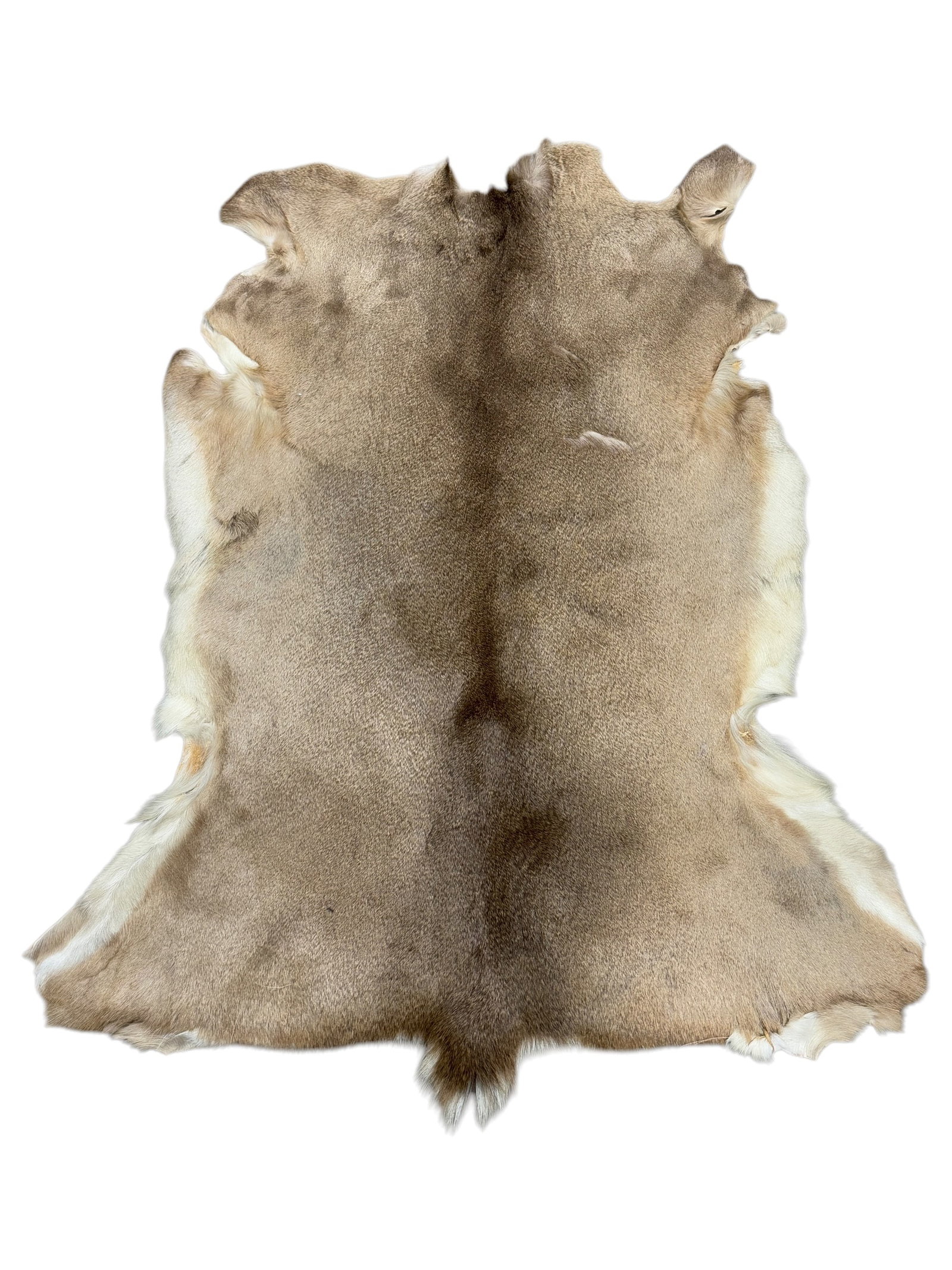 Deer Hide: Deer Hide. Measures 52.5" x 41".
