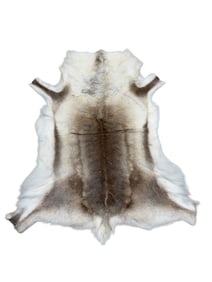 Animal Hide