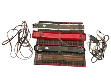 Group of Horse Tack, Cinches & Saddle Pad
