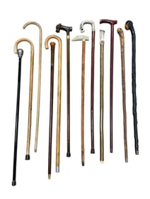 Group of 12 Canes & Walking Sticks