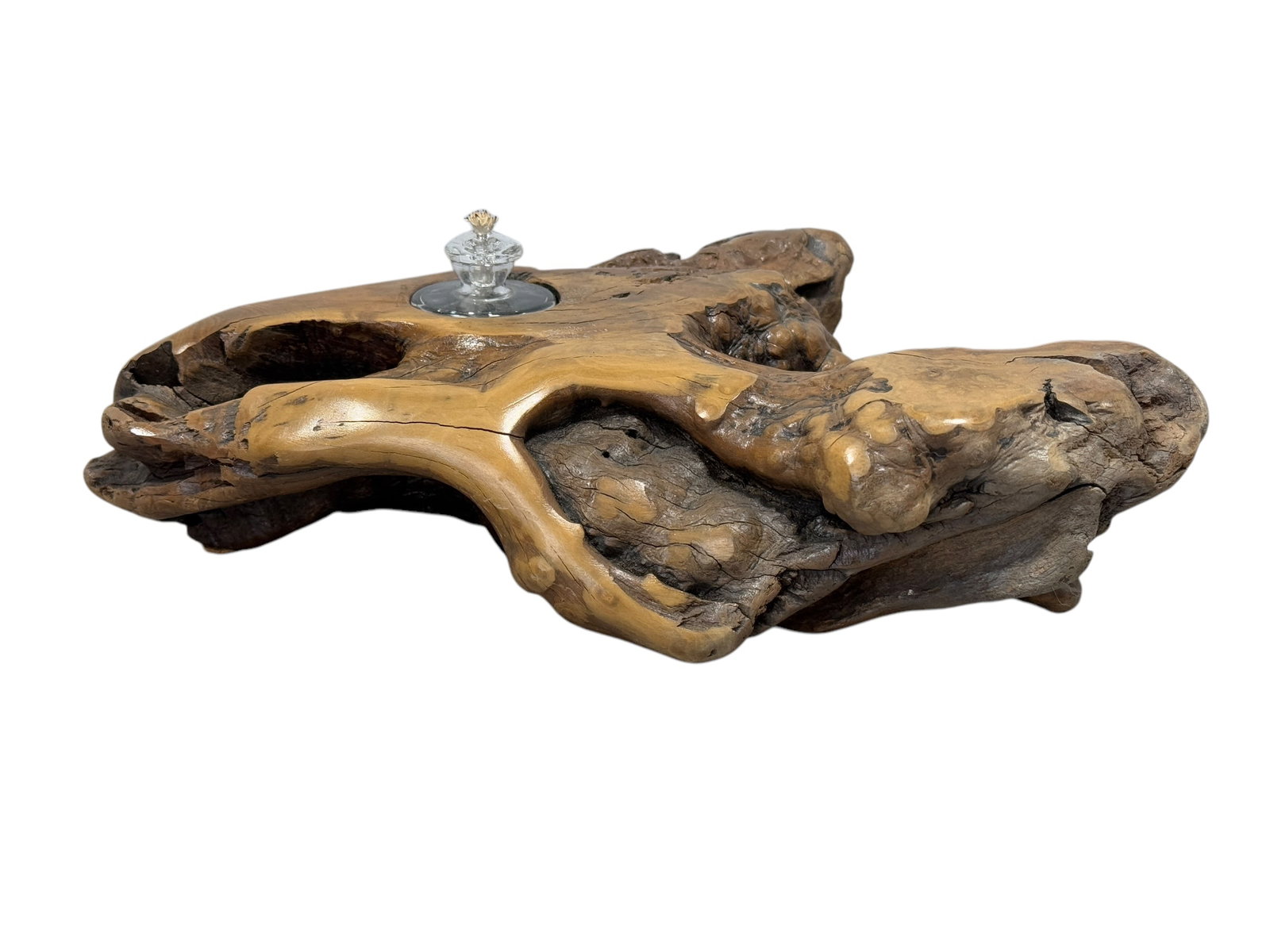 Signed Teak Root Wood Oil Lamp: Signed Teak Root Wood Oil Lamp. Signature seems to read Dan Manner on the back. Measures 2.5" H x 10.25" W x 7" D.