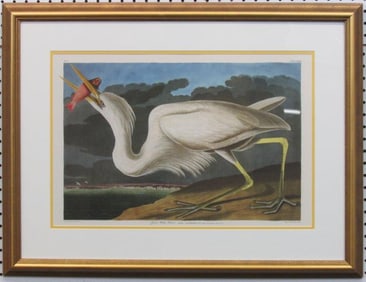 Great White Heron Giclee by John J Audubon