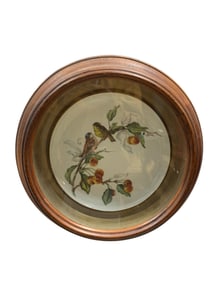 Victorian Deep Walnut Shadow Box w/ Plate