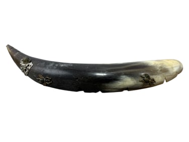 Buffalo Horn w/ Bee's