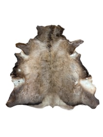 Elk Hide