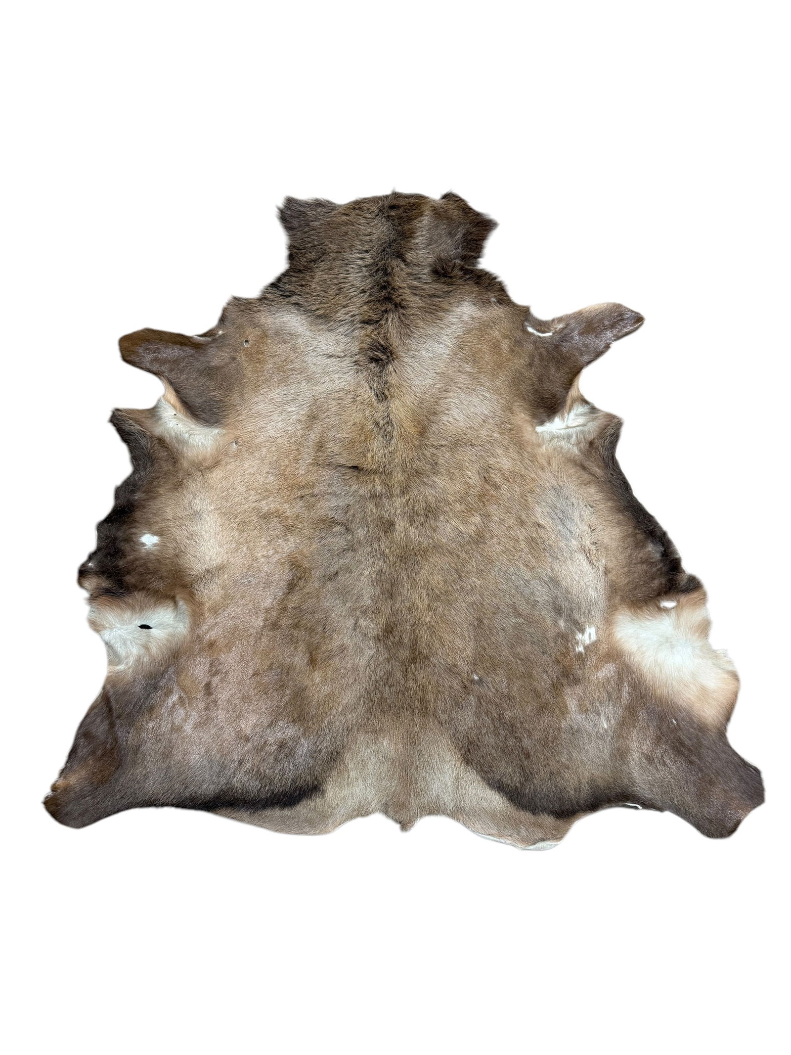 Elk Hide (1 of 5)