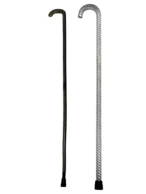Acrylic & Snake Skin Canes