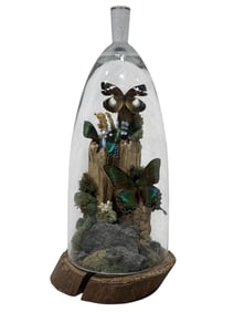 Hand Made Butterfly Taxidermy w/ Glass Dome by Kim Wilson