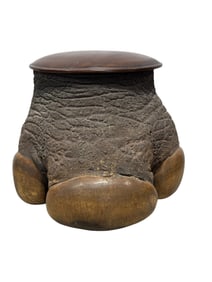 Taxidermy Rhinoceros Foot Humidor