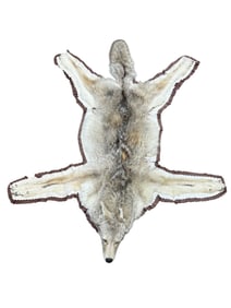 Coyote Rug