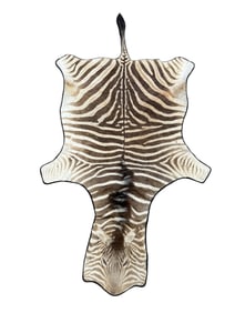 Zebra Rug