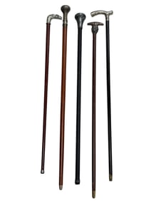 Group of 5 Walking Sticks