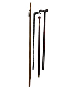 Group of 4 Walking Sticks