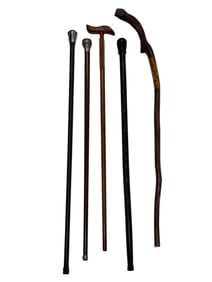 Group of 5 Walking Sticks