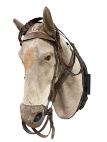 Early 20th C. Tack Shop Horse Head Display