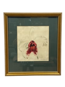 Signed Kathleen Wells 1948 "Brassocattleya Orchid" Watercolor