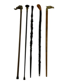 Group of 5 Walking Sticks