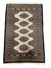 Small Hand Knotted Pakastani Wool Rug