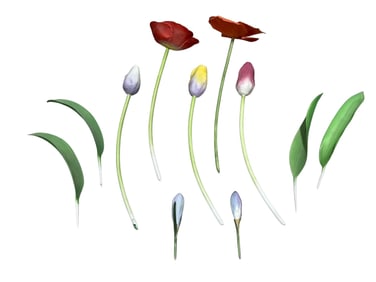 Group of 10 Boehm Porcelain Flowers