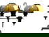 item-210798884=1