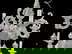 item-210799035=2