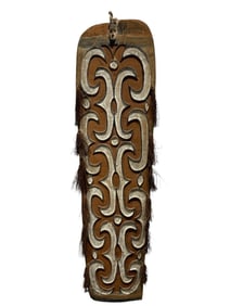 20th C. Indonesian Asmat Jamasj Shield
