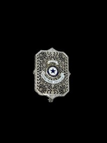 c1920s 10k Gold American Legion Auxiliary Past Department President Pin
