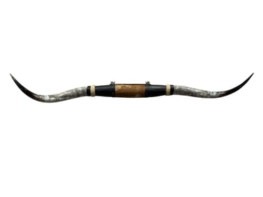 Set of Mounted Texas Longhorn Steer Horns