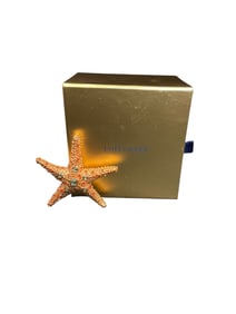 Estee Lauder "Shimmering Starfish" Solid "Beautiful" Perfume Compact
