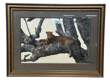 Large Thomas D. Mangelsen "Shade of Sapphire-Leopard" Photographic Print