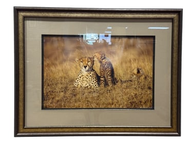 Signed Thomas D. Mangelsen "Cheetah & Cubs" Photographic Print