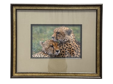 Signed Thomas D. Mangelsen "The Bond-Cheetahs" Photographic Print