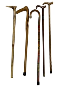 Group of 5 Walking Sticks