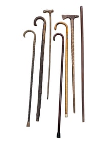 Group of 7 Walking Stick