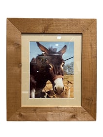 Mule Photo in Wood Frame