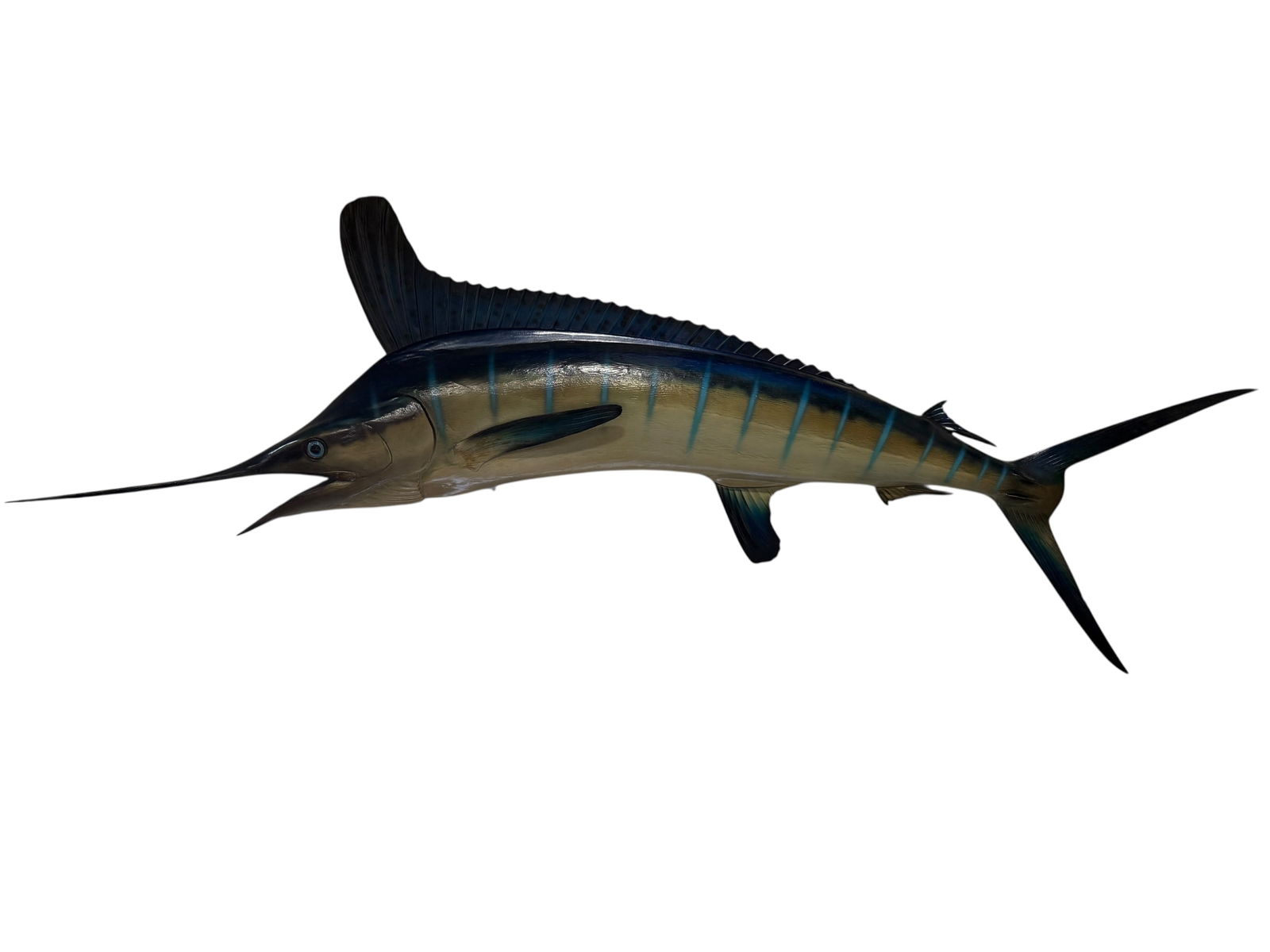 Large Wall Hanging Taxidermy Blue Marlin Mount (1 of 5)