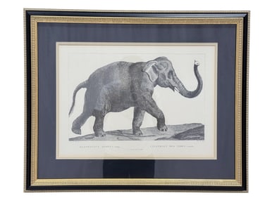 Quality Framed "Elephant" Print by Chelsea House