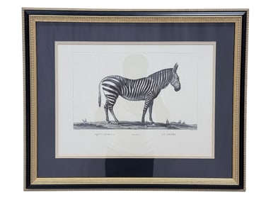 Quality Framed "Zebra" Print by Chelsea House